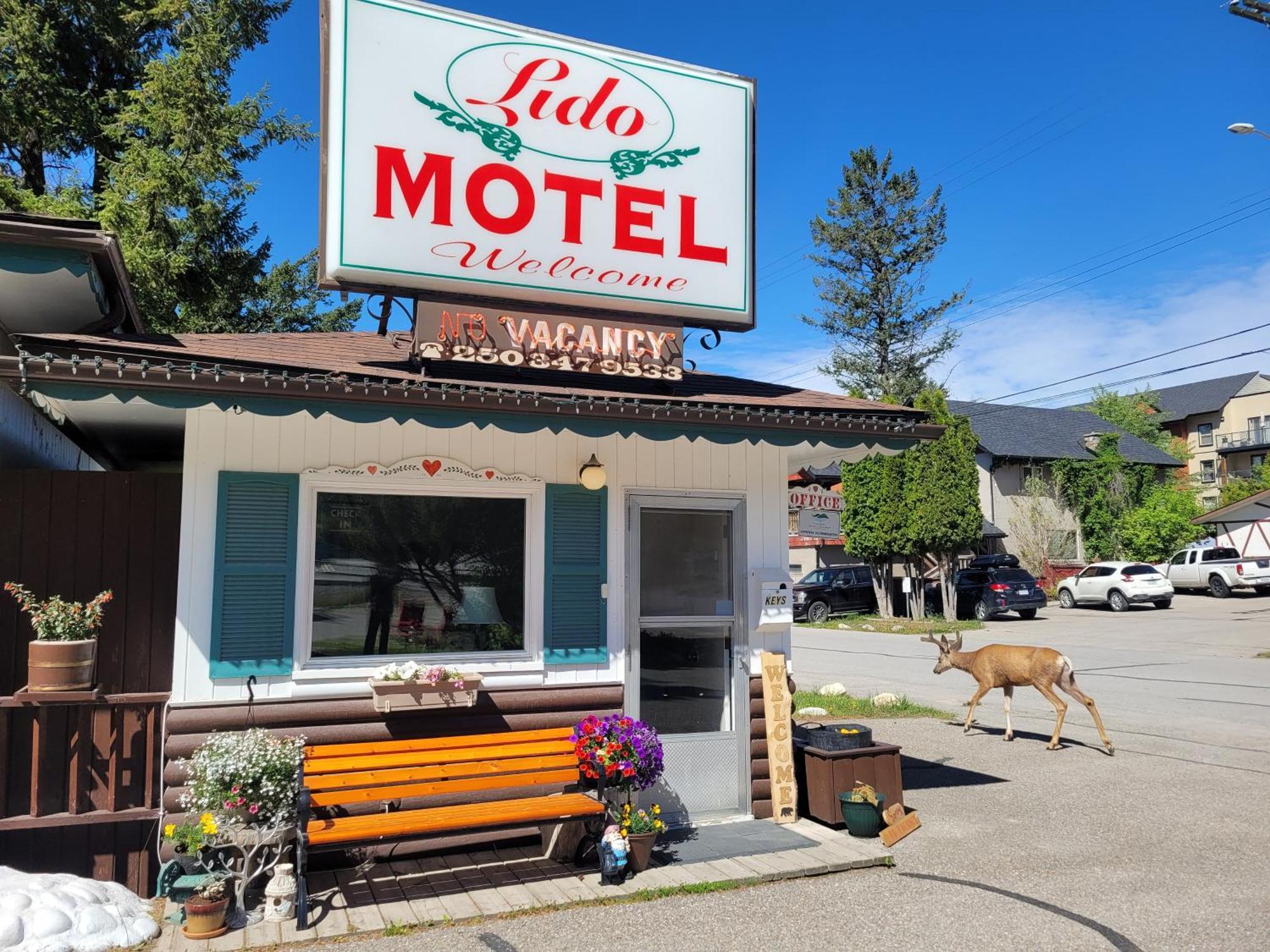 Lido Motel Radium Hot Springs Eksteriør bilde
