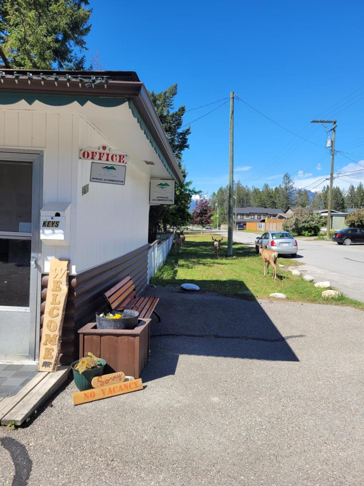 Lido Motel Radium Hot Springs Eksteriør bilde